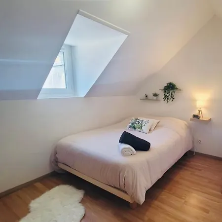 Le Jardin Des Plantes Et F2 Au Calmes, Terrasse, Stationnement Gratuit Appartement *