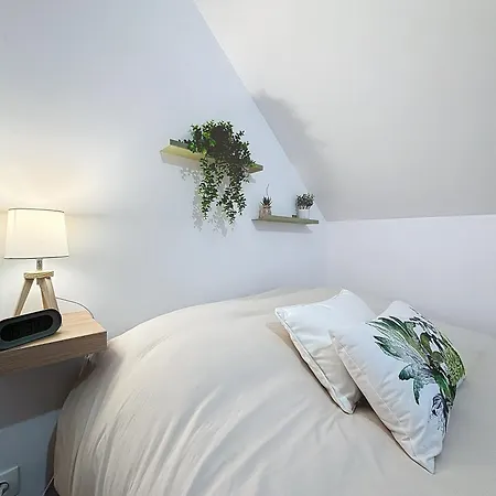 Appartement Le Jardin Des Plantes Et F2 Au Calmes, Terrasse, Stationnement Gratuit