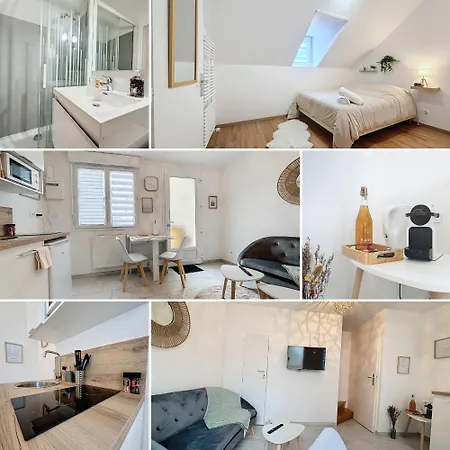 Le Jardin Des Plantes Et F2 Au Calmes, Terrasse, Stationnement Gratuit Appartement Rouen