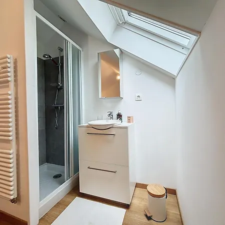 Appartement Le Jardin Des Plantes Et F2 Au Calmes, Terrasse, Stationnement Gratuit *