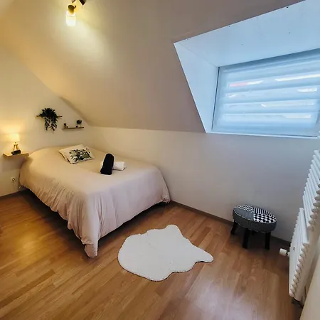 Le Jardin Des Plantes Et F2 Au Calmes, Terrasse, Stationnement Gratuit * Rouen